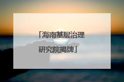 海南基层治理研究院揭牌